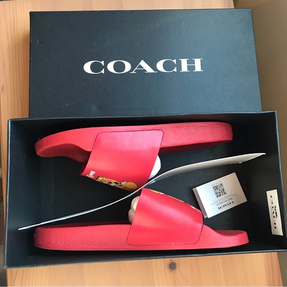 🐭🥰 Disney X Coach Sport Slide With Mickey Mouse And Minnie Mouse Motif - Picture 6 of 12